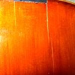 cello_tores_web