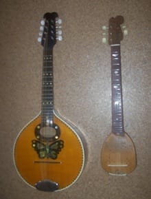 mandolin és tambura mandolin és tambura
