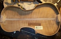 hegedű hát a kávákkal hegedű hát a kávákkal