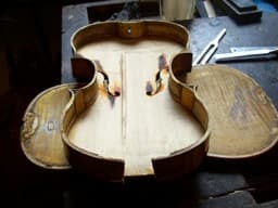 tető és a hát tető és a hát