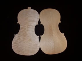 a tető és a hát a tető és a hát