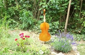 napon szárítás napon szárítás