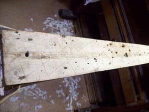 szögnyomok a nyakban szögnyomok a nyakban