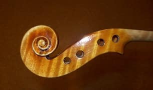 a csigája a csigája