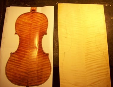 a poszter és a fa a poszter és a fa